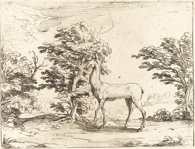 Doe av Jacques Callot