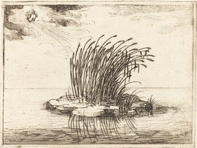 Reeds and the Wind av Jacques Callot