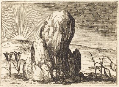 Tulipanene og solen av Jacques Callot