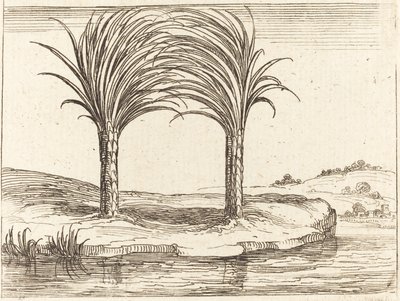 To palmer av Jacques Callot