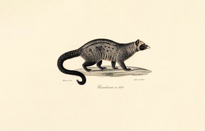  av Jacques Christophe Werner