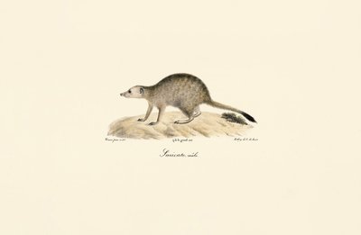  av Jacques Christophe Werner