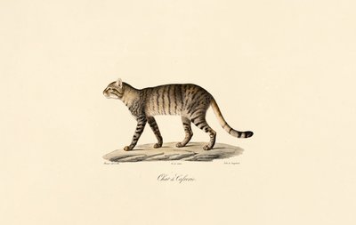  av Jacques Christophe Werner