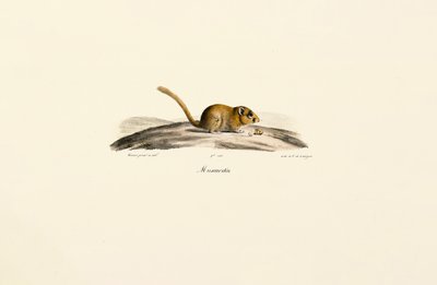  av Jacques Christophe Werner