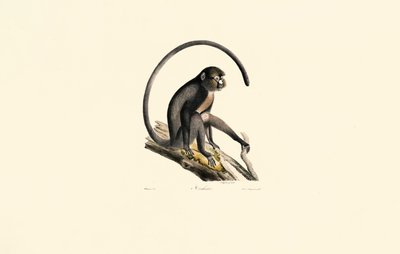  av Jacques Christophe Werner