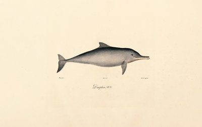  av Jacques Christophe Werner