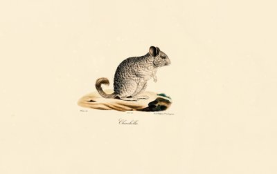  av Jacques Christophe Werner