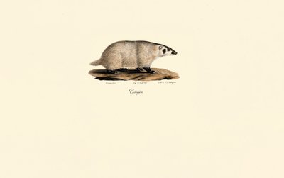  av Jacques Christophe Werner