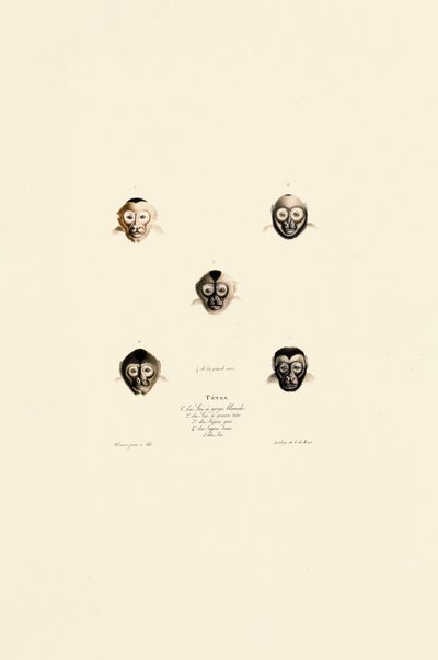  av Jacques Christophe Werner