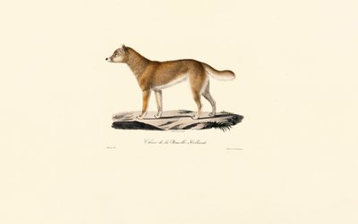  av Jacques Christophe Werner