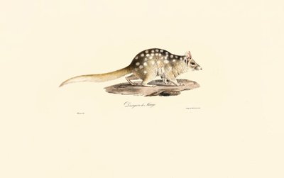  av Jacques Christophe Werner