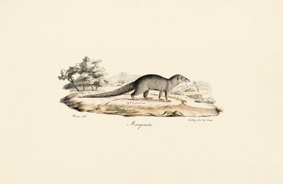  av Jacques Christophe Werner