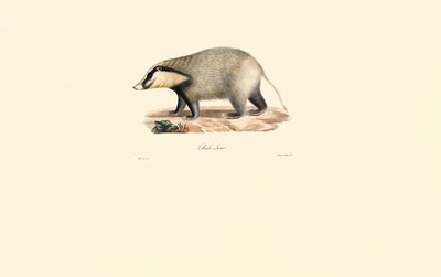  av Jacques Christophe Werner