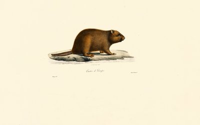  av Jacques Christophe Werner