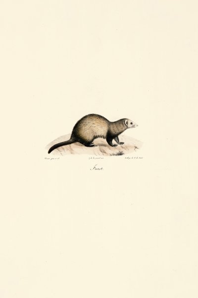  av Jacques Christophe Werner