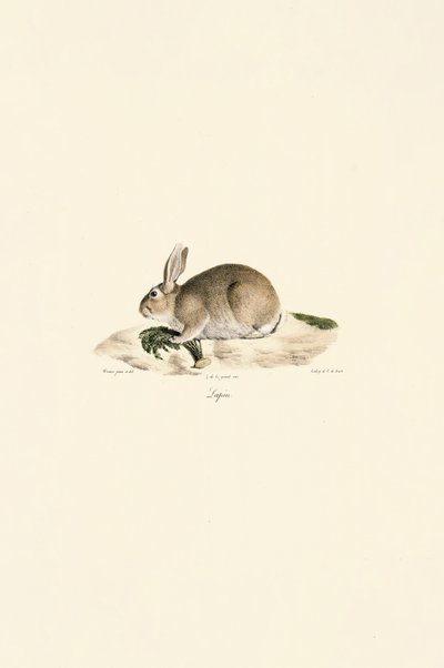  av Jacques Christophe Werner
