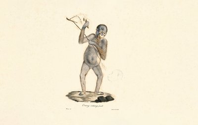  av Jacques Christophe Werner