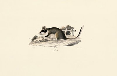 Hagesyvsover av Jacques Christophe Werner