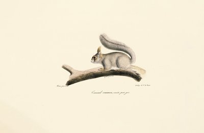  av Jacques Christophe Werner