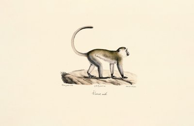  av Jacques Christophe Werner