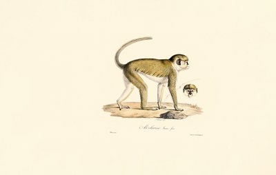  av Jacques Christophe Werner