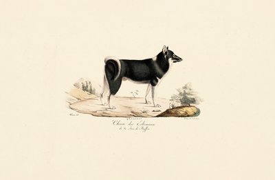  av Jacques Christophe Werner
