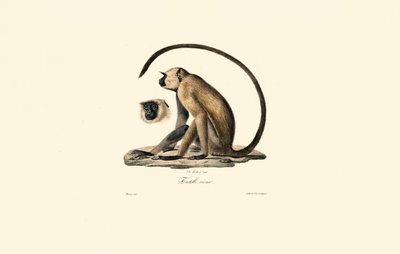  av Jacques Christophe Werner