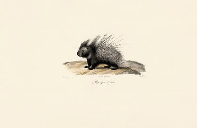 av Jacques Christophe Werner