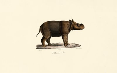  av Jacques Christophe Werner