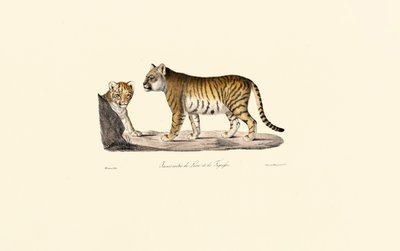  av Jacques Christophe Werner
