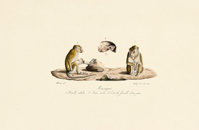  av Jacques Christophe Werner