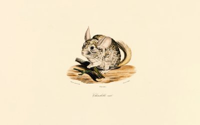  av Jacques Christophe Werner