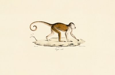  av Jacques Christophe Werner