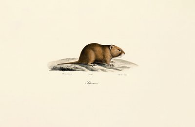  av Jacques Christophe Werner