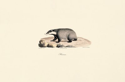  av Jacques Christophe Werner
