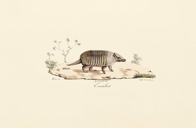  av Jacques Christophe Werner