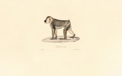  av Jacques Christophe Werner