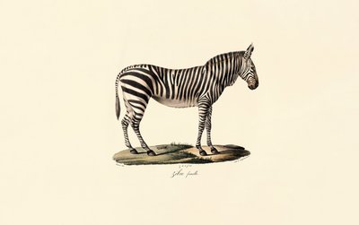  av Jacques Christophe Werner