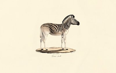  av Jacques Christophe Werner