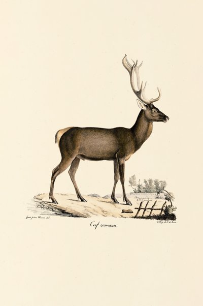  av Jacques Christophe Werner