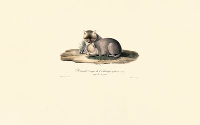  av Jacques Christophe Werner