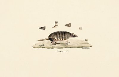  av Jacques Christophe Werner