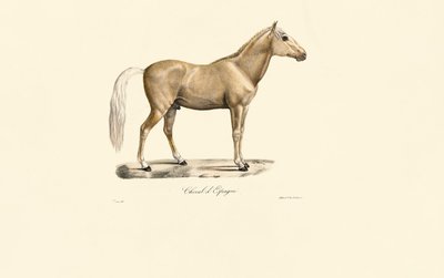  av Jacques Christophe Werner