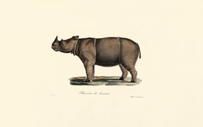  av Jacques Christophe Werner