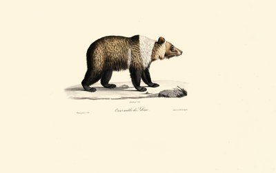  av Jacques Christophe Werner