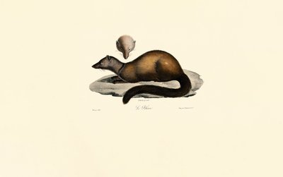  av Jacques Christophe Werner