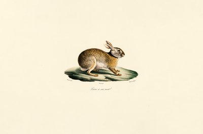  av Jacques Christophe Werner
