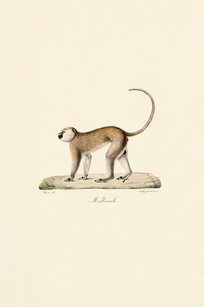  av Jacques Christophe Werner