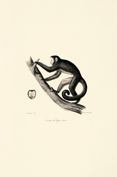  av Jacques Christophe Werner