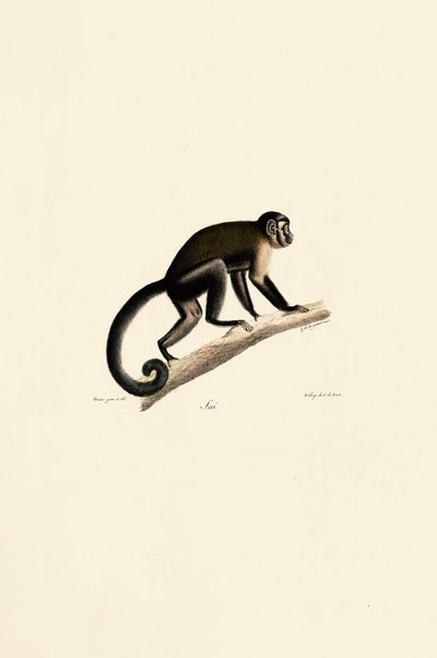  av Jacques Christophe Werner